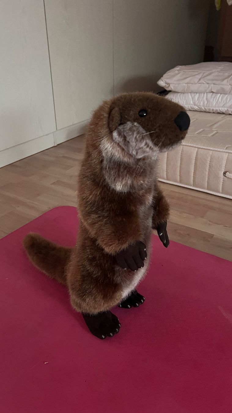 Giocattoli: Plüsch Otter – Usato da Röschenz venduto da nad_7yyr 1