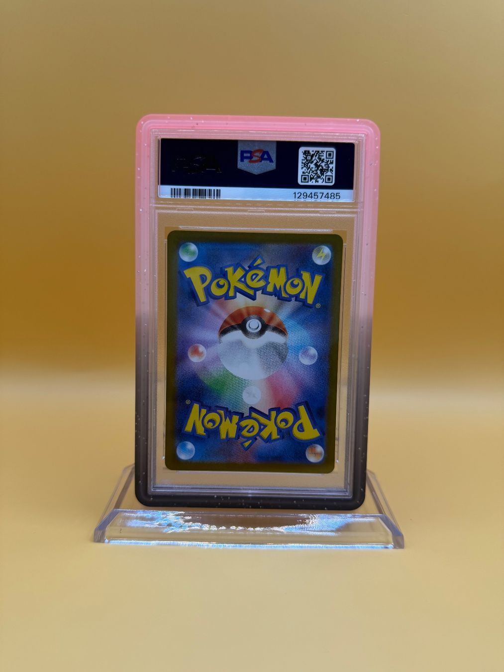 Pokémon Carte collezionabili: Pokemon – Nuovo (secondo la descrizione) da Wetzikon ZH venduto da KartenKid 1