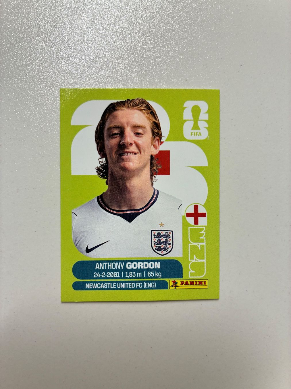 Panini Carte collezionabili: Panini WM 2026 Mexiko Sticker - ENG15 – Nuovo (secondo la descrizione) da Basel venduto da yac_h5js