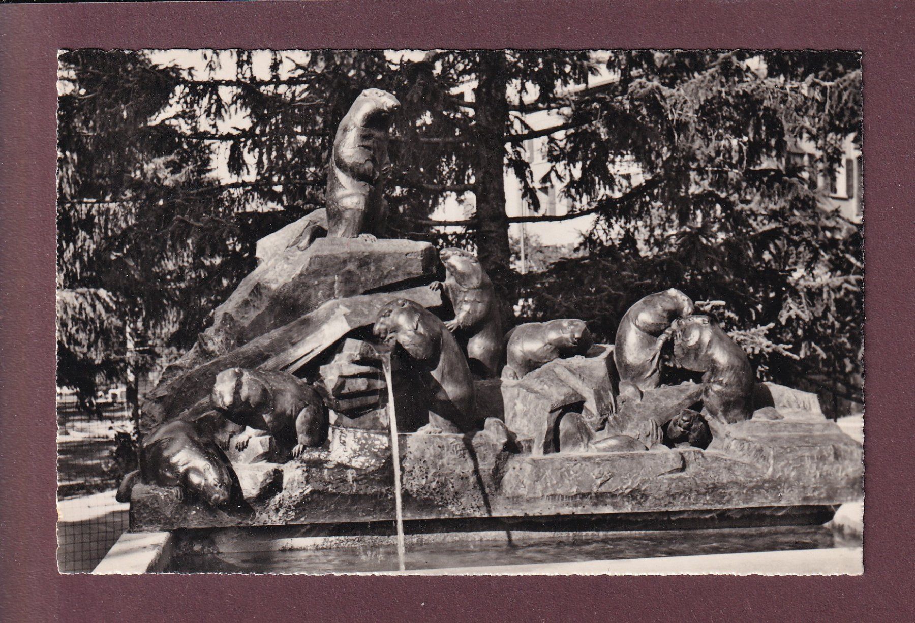 Cartoline postali: ZERMATT - Murmeltierbrunnen - 1950 – Usato da Pully venduto da nicecards