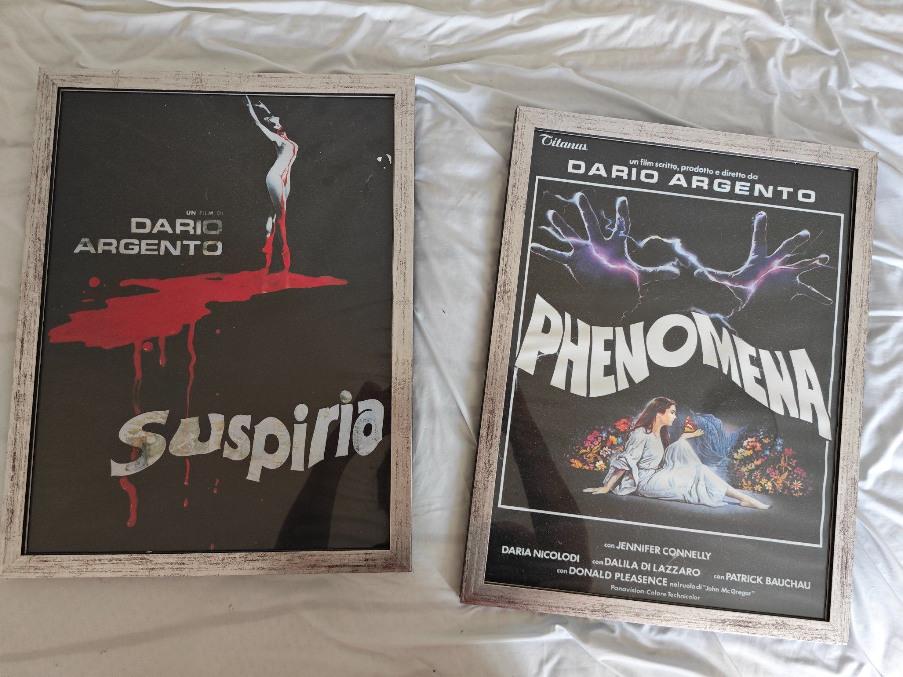 Foto & Immagini: Deux cadres A3 affiche Dario Argento – Usato da Renens VD venduto da cba_r9y8