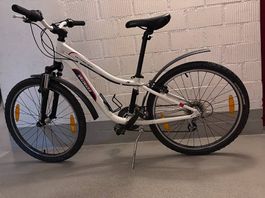 Velo Fahrrad Specialized Mädchen, 24 Zoll