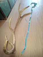 hirschgeweih 80cm trophäe ausgestopft präparat 