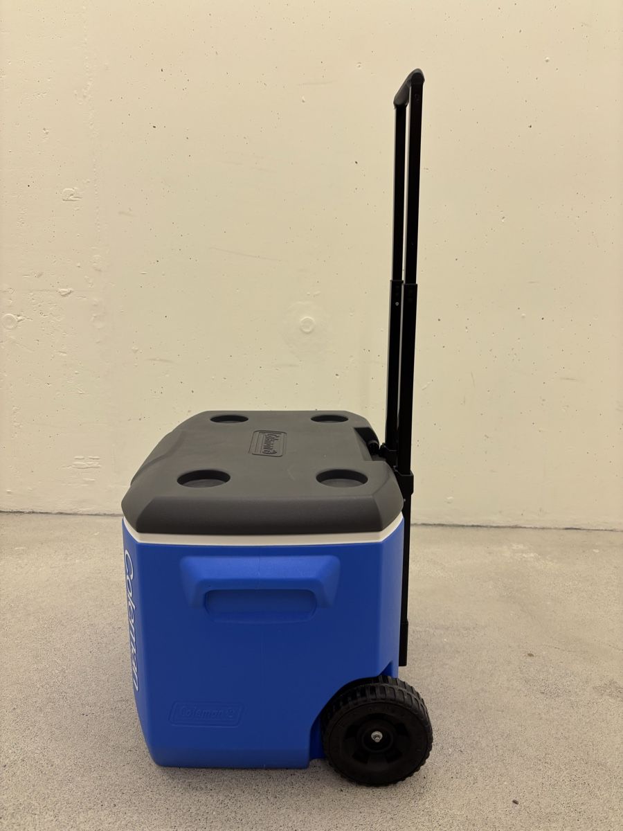 Coleman Frigoriferi & Refrigeratori: Coleman Kühlbox 60Qt Performance – Usato da St. Gallen venduto da Rindi66 3