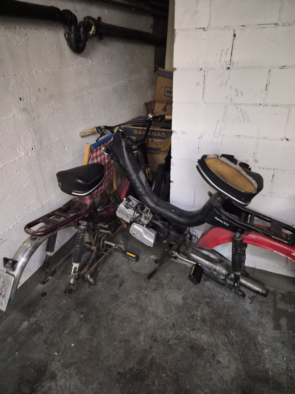 Sachs Ciclomotori: Sachs Gipsy 535 – Usato da Hinwil venduto da Schmidii1987 5