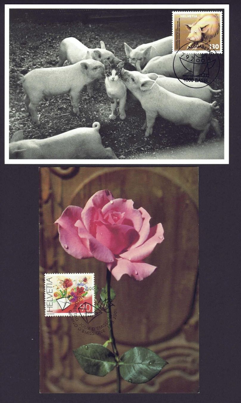 Tutti i francobolli: 4 MK 2001/04/05, Einstein, Rose und Ferkel – Usato da Basel venduto da Pfefferschootte 1