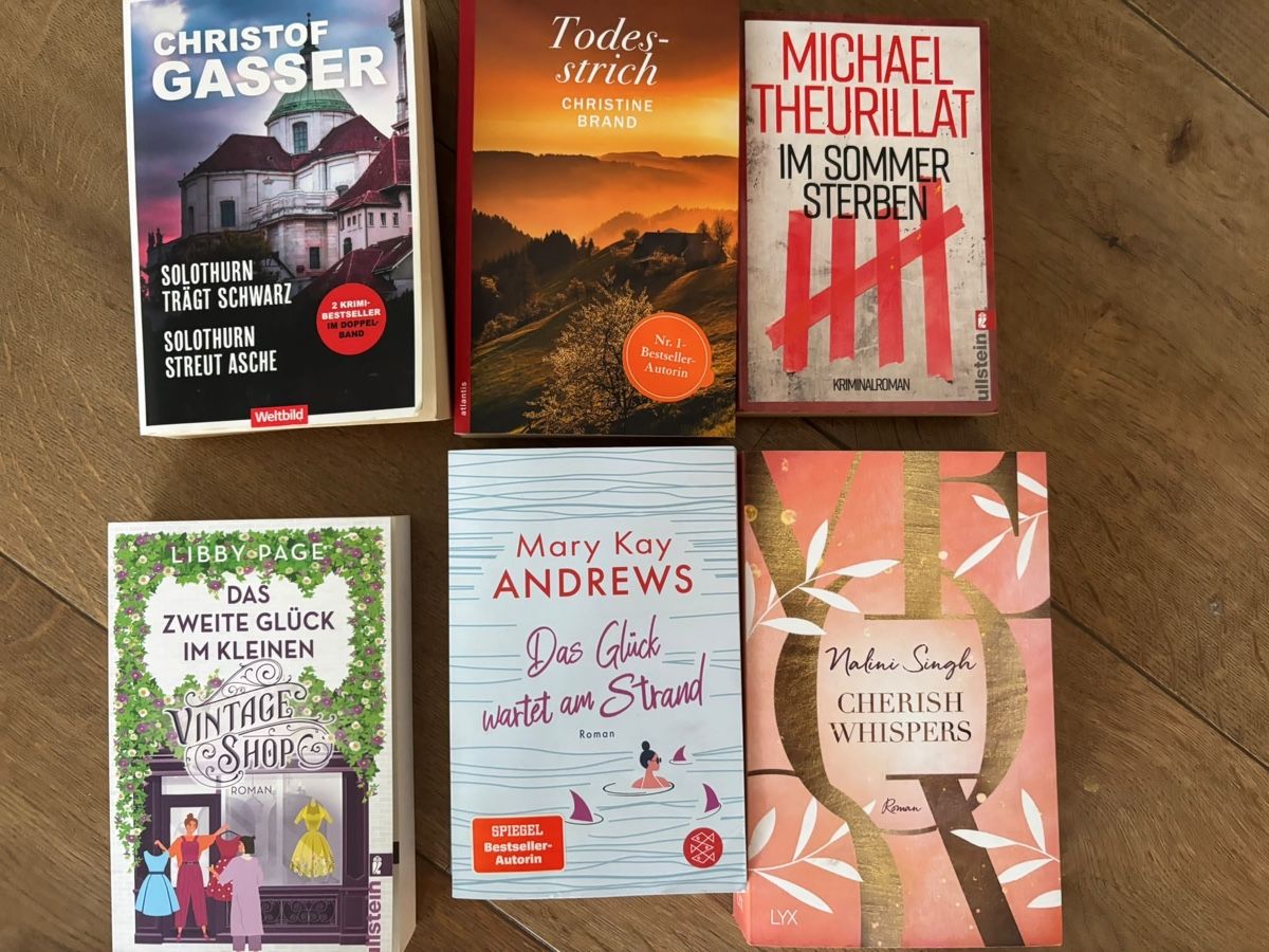 Libri: 15 Bücher, Romane, Krimi – Usato da Winterthur venduto da Steff9 1