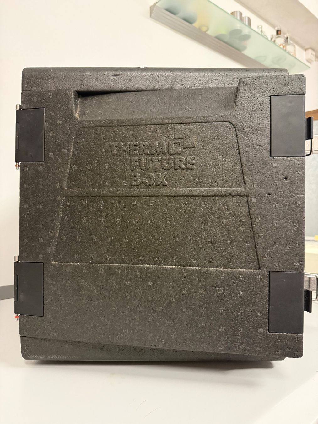 Frigoriferi & Refrigeratori: Thermo Future Box 65L Thermobox Gastro Isolierbox Catering – Usato da Altendorf venduto da Elenaneagu22 1