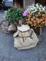 Steinalter,urchiger Rucksack