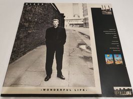Black – Wonderful Life