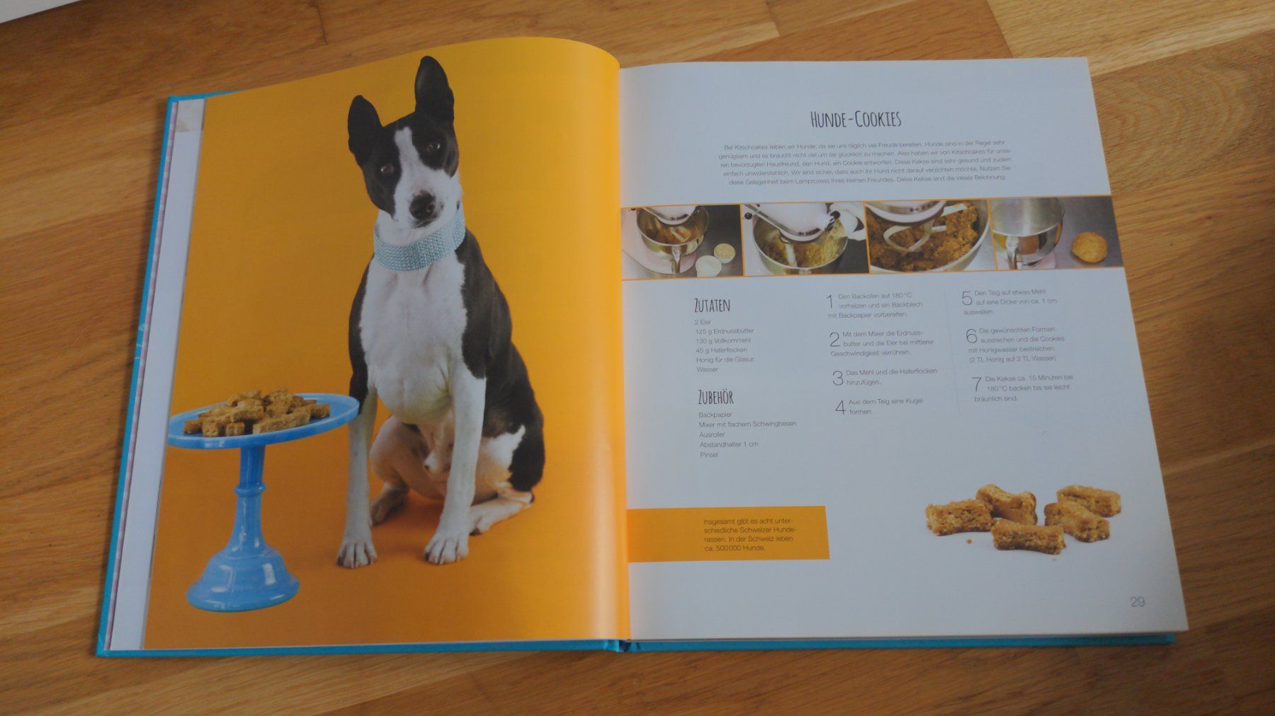 Libri: Kochbuch Kitschcakes Sandra Müller – Nuovo (secondo la descrizione) da Sutz venduto da Rawypp 5