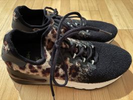 Ash Schuhe