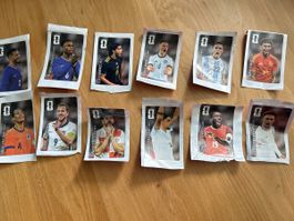 ALLE 12 CC Kleber Panini FWC 2026