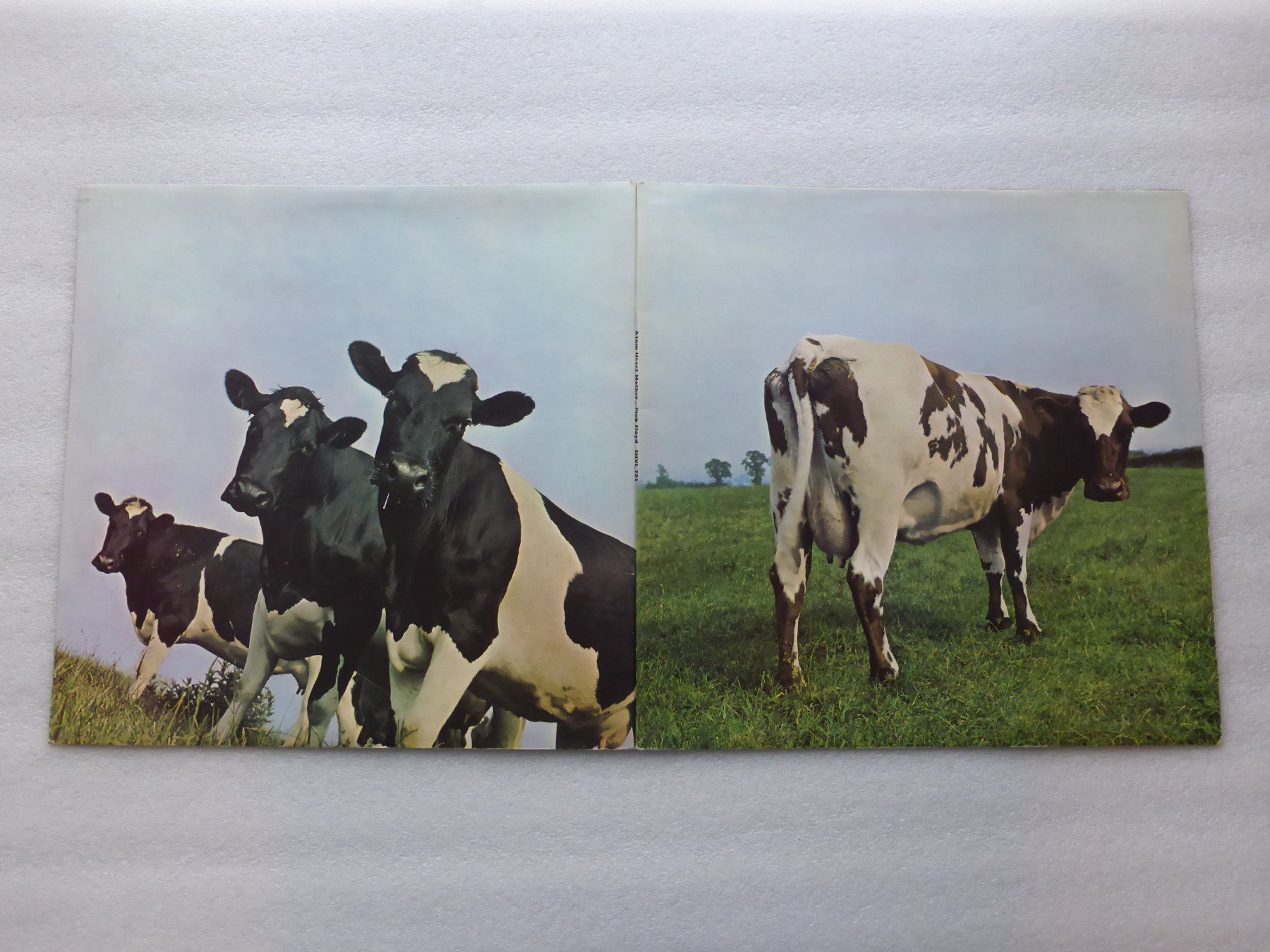 Dischi in vinile: VINYL  LP   PINK FLOYD – Usato da Küssnacht am Rigi venduto da Sunnestrahl