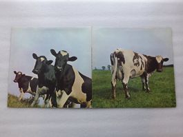 VINYL  LP   PINK FLOYD