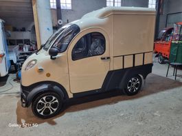 Neu E- Cargo mit Laderaum