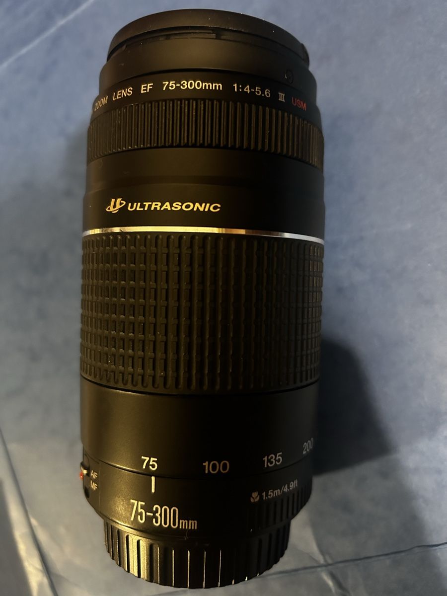 Canon Objectifs: Canon EF 75-300 mm USM Objektiv – D'occasion à Winterthur par SoarEagle 5