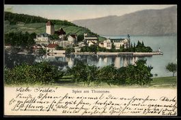 AK Spiez am Thunersee, Totalansicht
