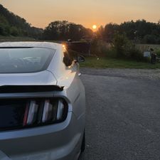 Profile image of Fabi3224