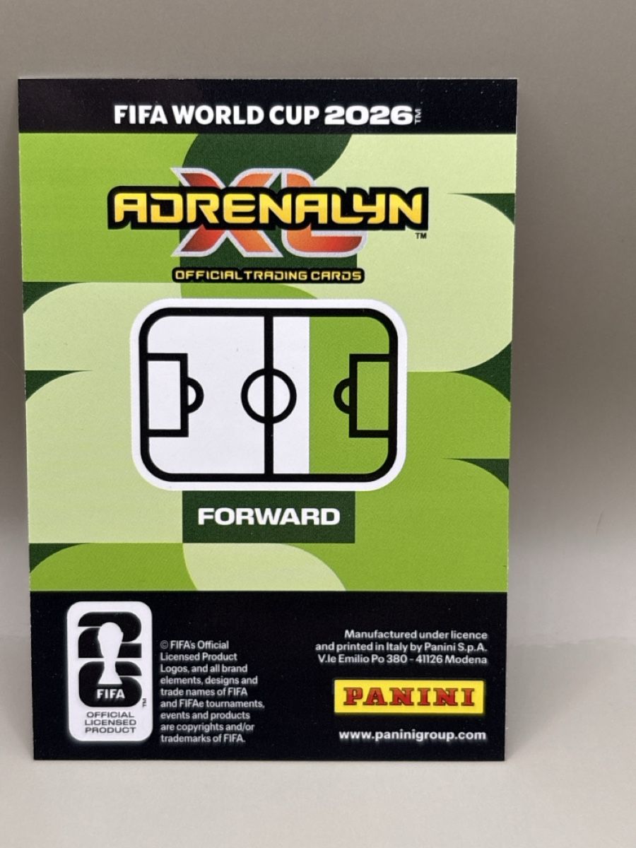 Panini Carte collezionabili: Panini Adrenalyn XL - 381 – Nuovo (secondo la descrizione) da Oberbuchsiten venduto da Bananefrappe93 1