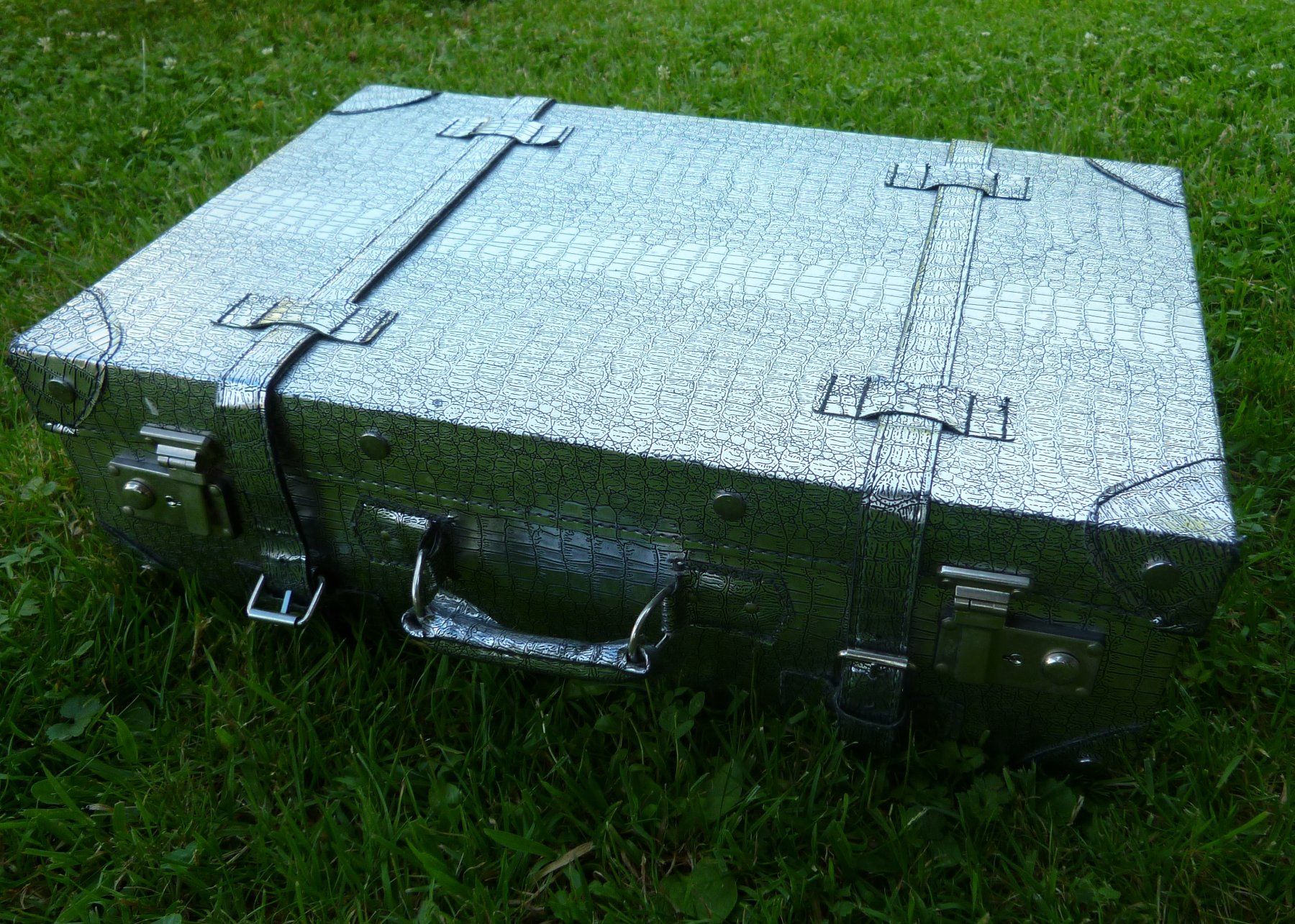 Valises de voyage: silbriger Koffer   speziell – D'occasion à Dättlikon par Mamakuga