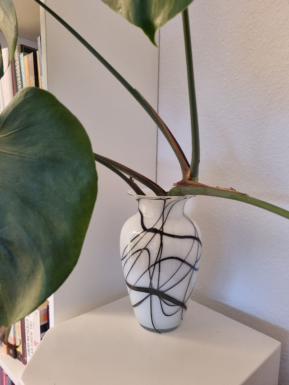 Vasen & Gefässe: Schwarz-weisse Vase – Neu (gemäss Beschreibung) aus Zürich von cle_7zph 3
