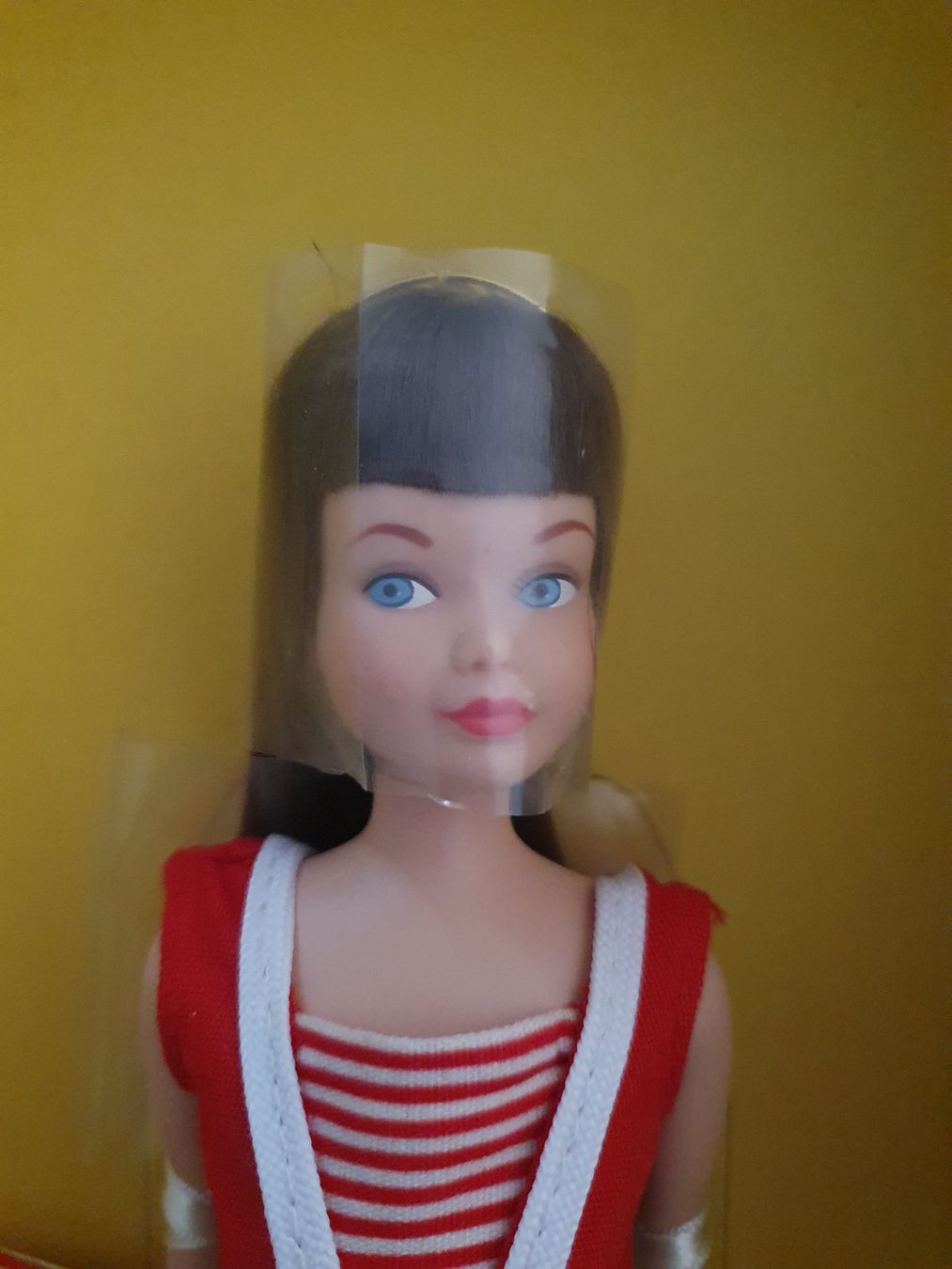 Puppen: Barbie Skipper Reproduction,  Silkstone – Gebraucht aus Zürich von summersand 6