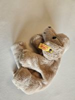 Süsses Plüsch Hündchen von Steiff