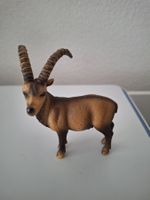 Steinbock