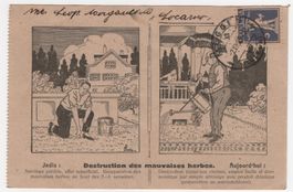 Privat-Postkarte Drucksache 2.VII. 25 Meggen-Locarno Nr. 157