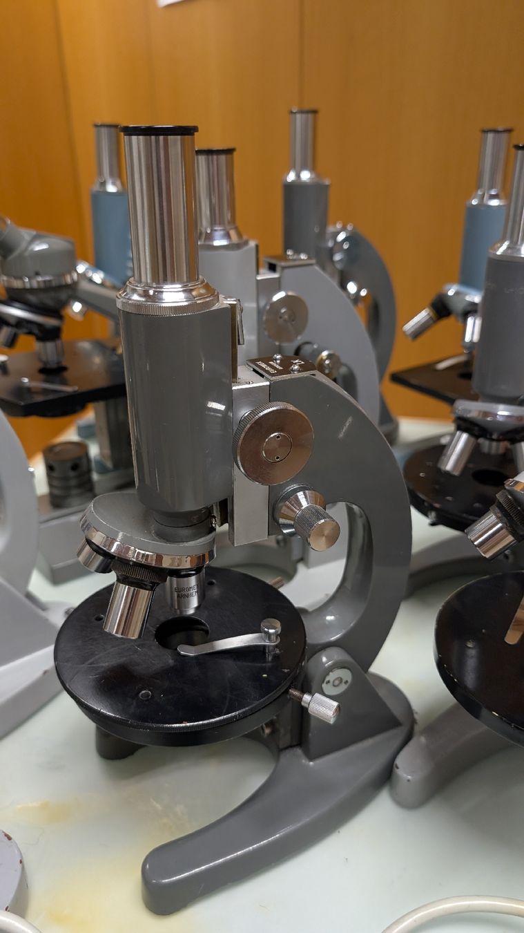 Microscopi: Mikroskope Set von 10 Stk. für Schule oder Hobby – Usato da Kirchberg SG venduto da Speedcuber77 2