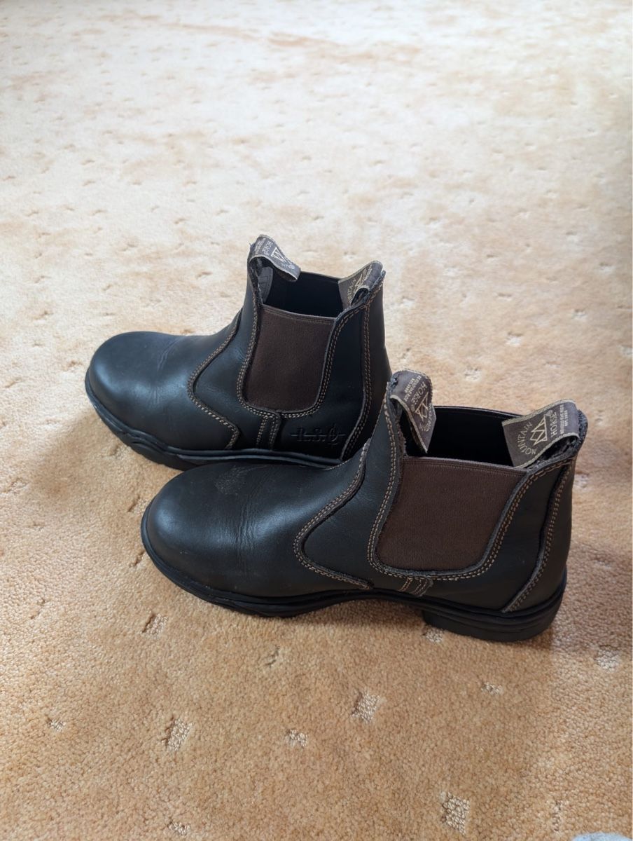 Scarpe da donna: Mountain Horze Stahlkappenschuhe Gr. 38 – Usato da Oberdorf BL venduto da joy.schmidlin 2