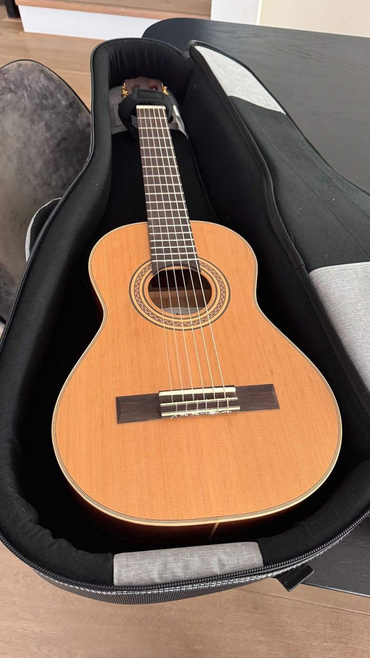 Strumenti musicali: 1/2 Gitarre 53 cm LINKS-händer – Usato da Unterengstringen venduto da RILORAMO