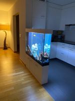 Pflanzen Aquarium 120x25x80