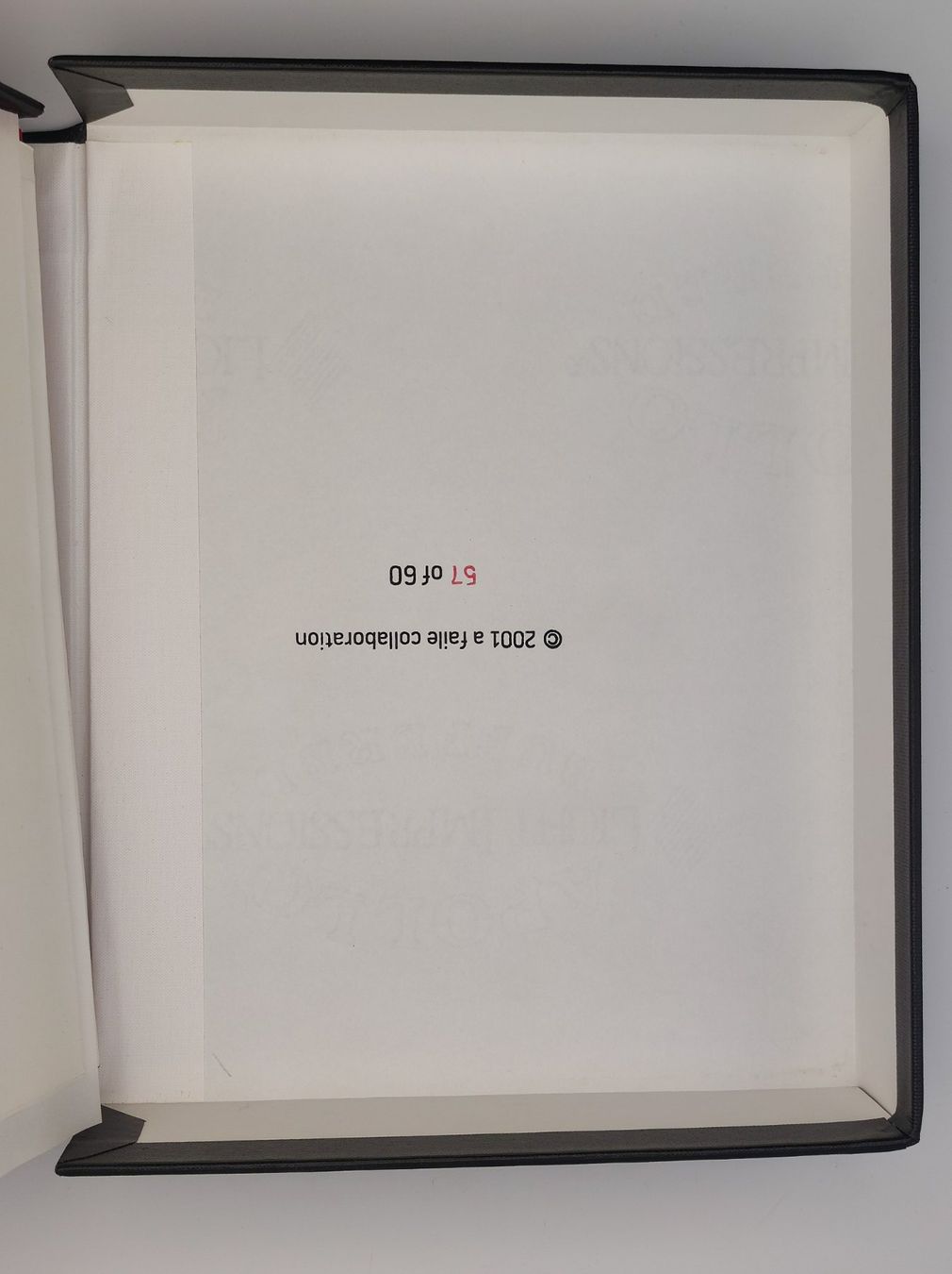 Libri: ARTISTS BOOKS - DEATH - PATRICK MCNEIL – Usato da Goldach venduto da Gaip 7