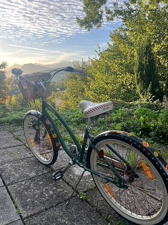 Velos: Fahrrad Electra – Gebraucht aus Luzern von sha_8tq8 3