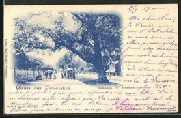 Gruss aus Interlaken, Höheweg, Phototypie, gelaufen 1900