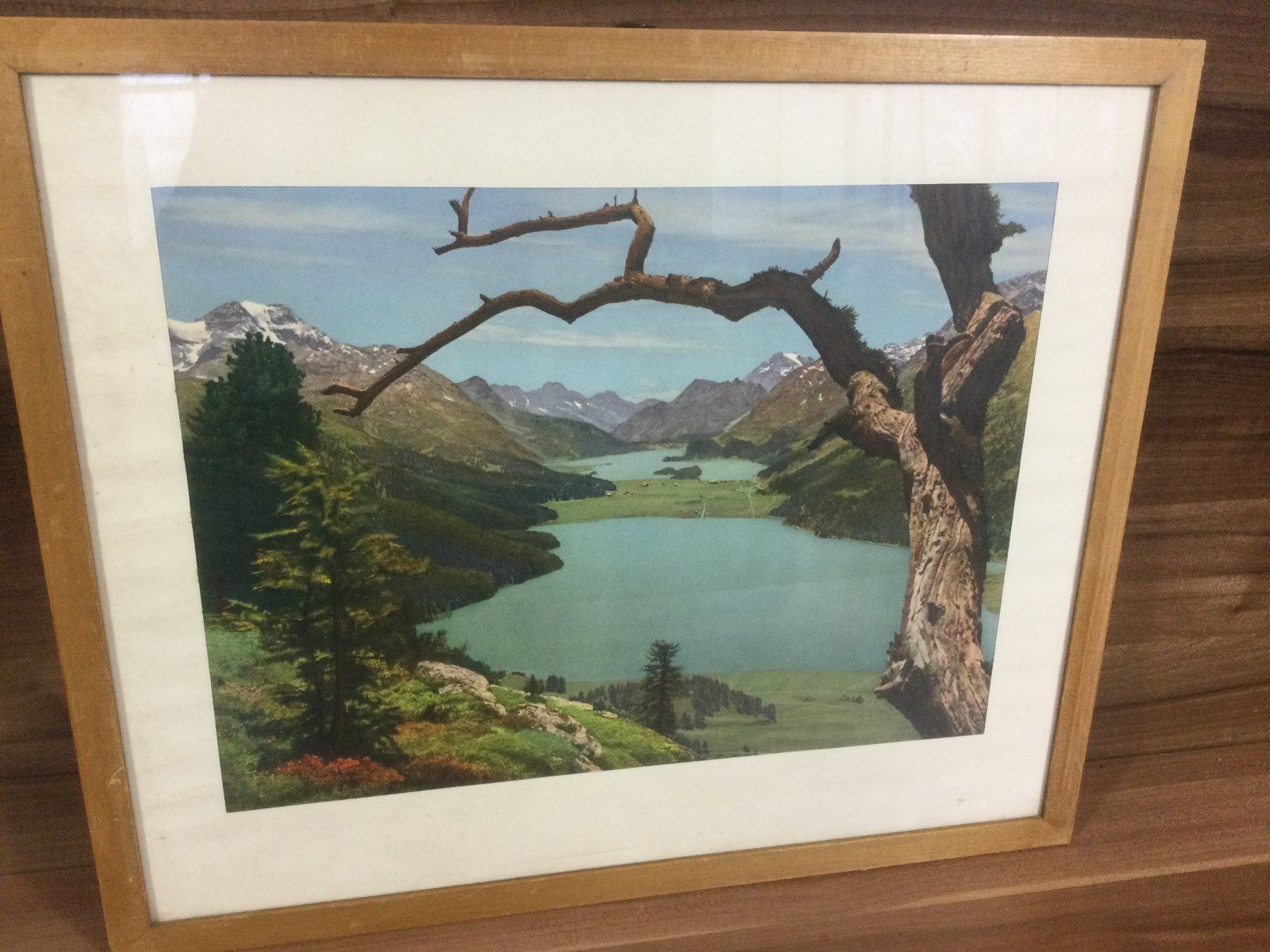 Foto & Immagini: Albert Steiner Ansicht Silsersee mit typischer Bergkulisse – Usato da Wangen SZ venduto da kuriosum12