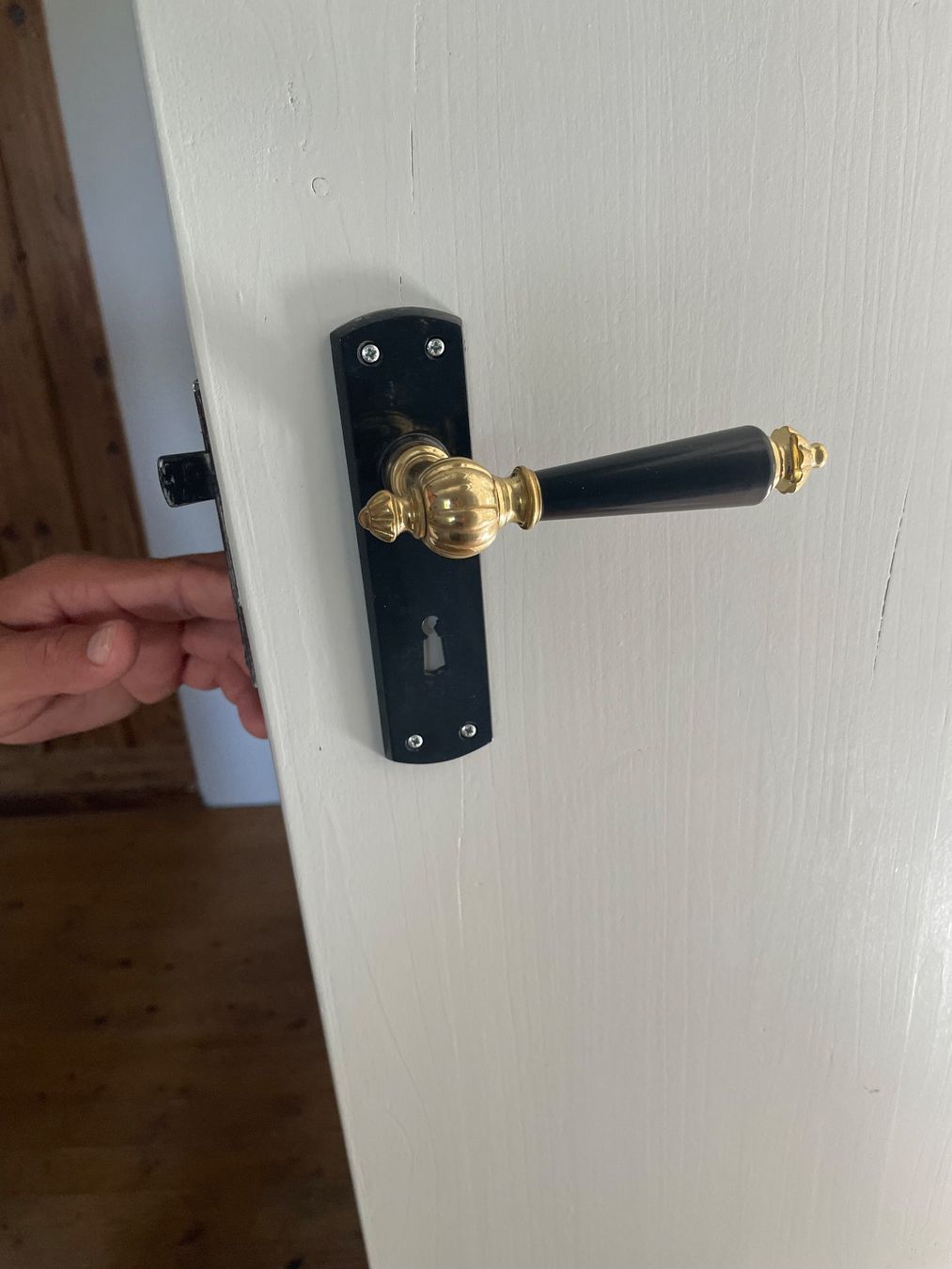 Porte: Türgriff – Usato da Dotzigen venduto da gok_5vfh 1
