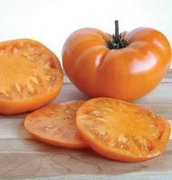 20 Samen BRANDYWINE YELLOW Tomate
