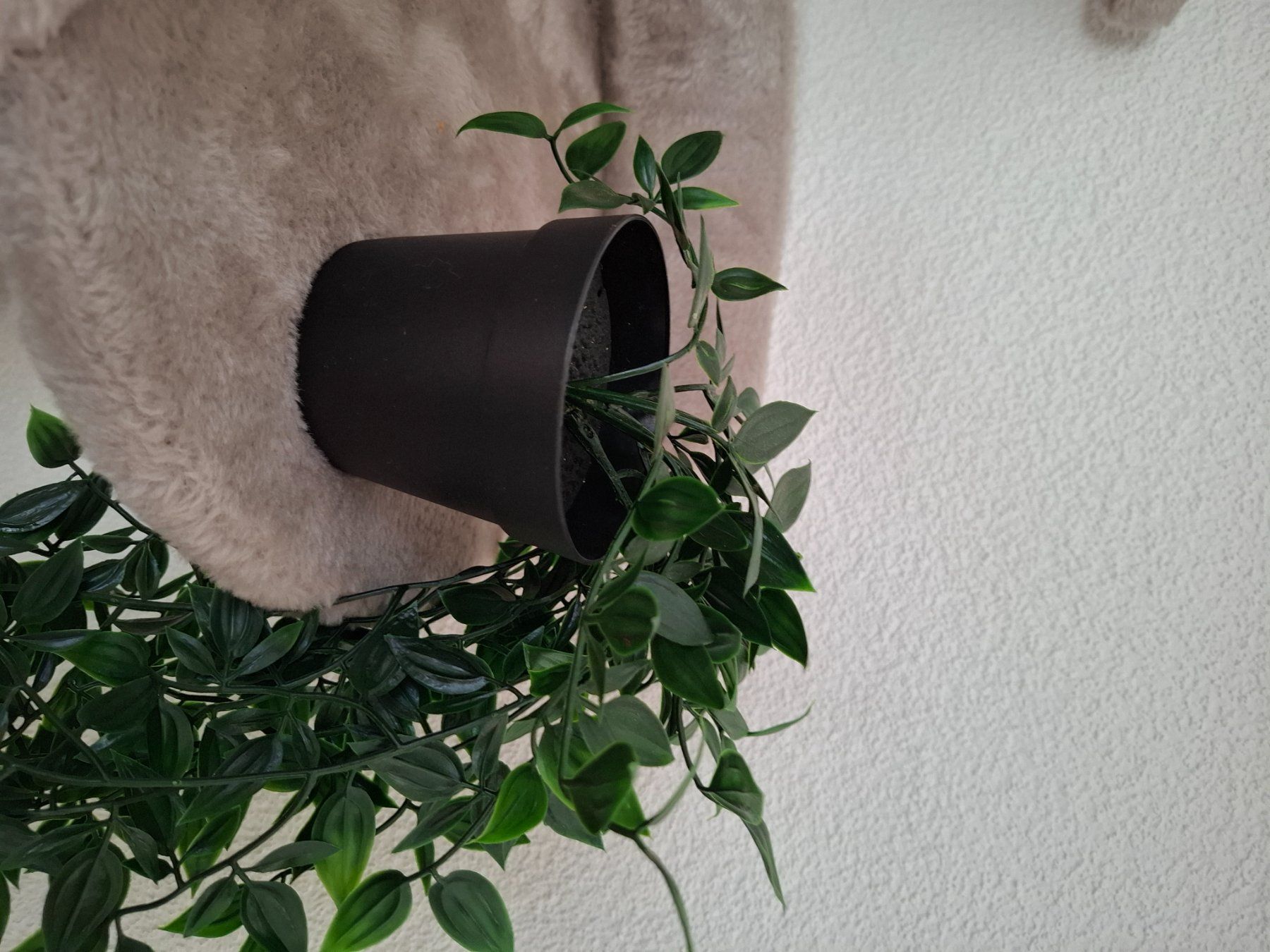 Pflanzen & Samen: Künstliche Pflanze – Gebraucht aus Hunzenschwil von Tanja2011 6