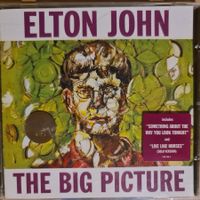 Elton John - the big picture