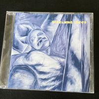 Screaming Trees - Dust | Grunge, Mark Lanegan
