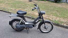 Piaggio Bravo ohne Ausweis