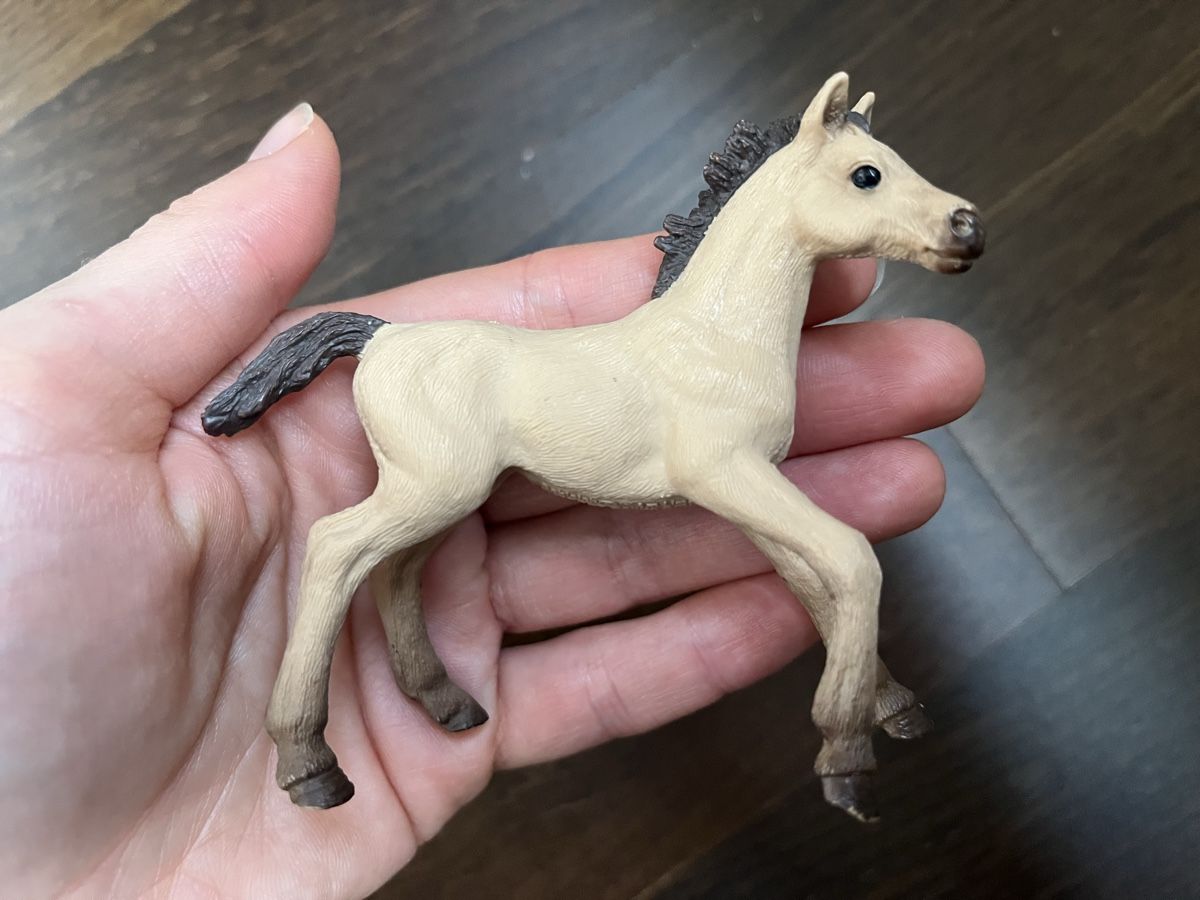 Schleich Giocattoli: Schleich Pferdefohlen 5 Set – Usato da Pfäffikon ZH venduto da mal_xs7b 5