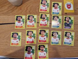 Panini 2026 JOR, Sticker