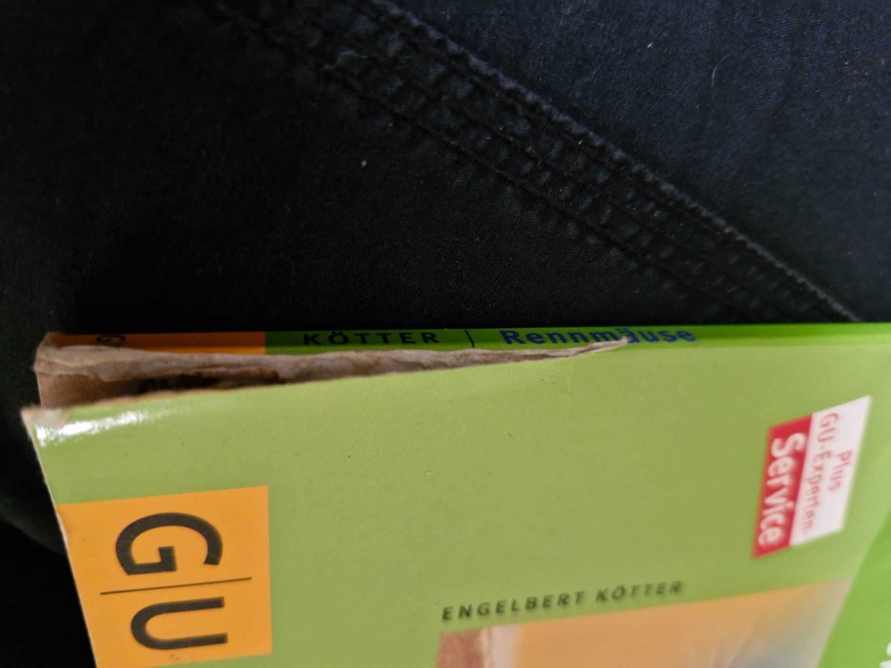 Libri: Hamster, Zwerghamster u. Rennmäuse Bücher – Usato da Kerns venduto da sil_726k 1
