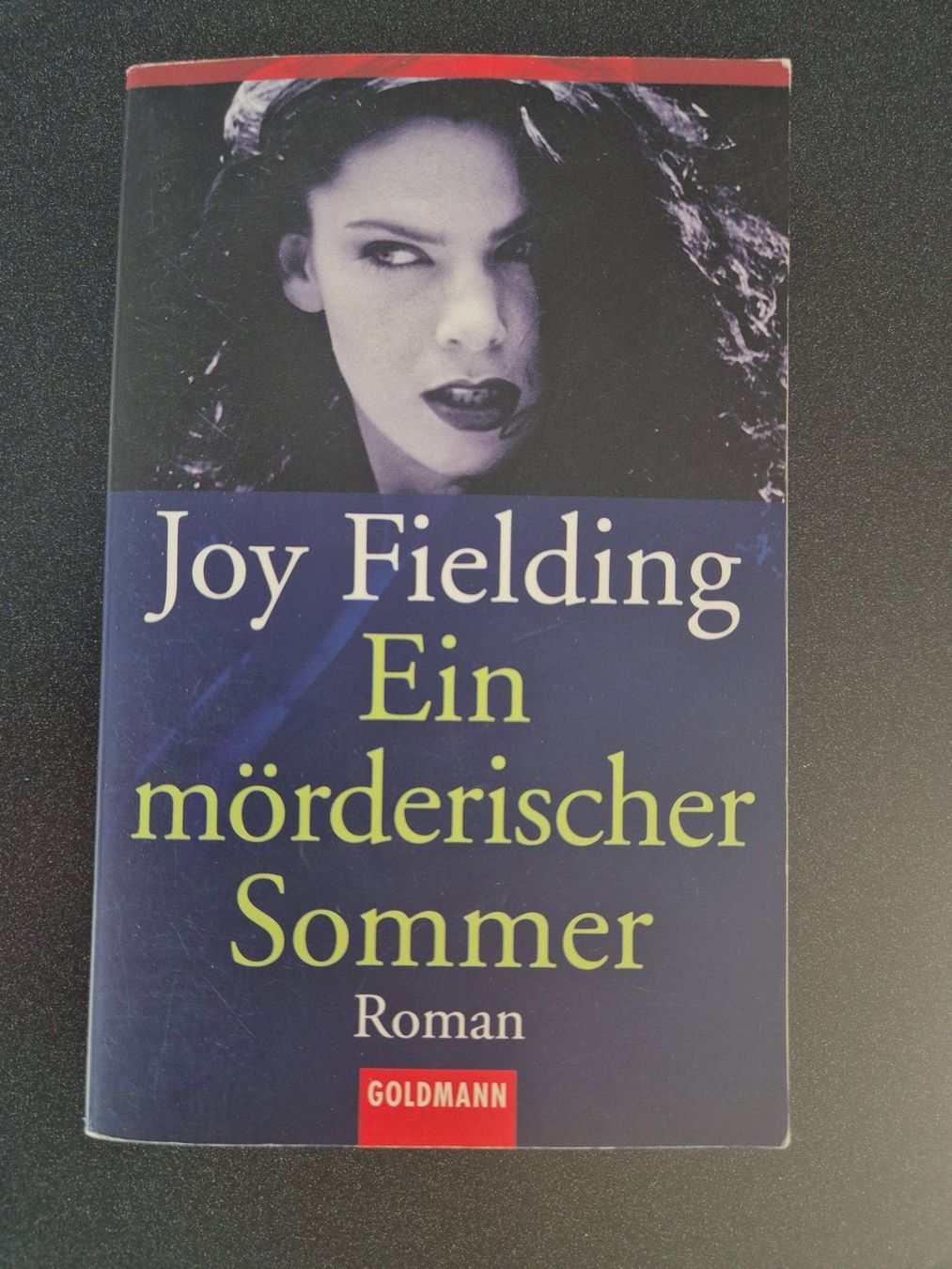Libri: Joy Fielding: Ein mörderischer Sommer – Usato da Eglisau venduto da nicij79