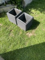 2er Set: Pflanzentöpfe