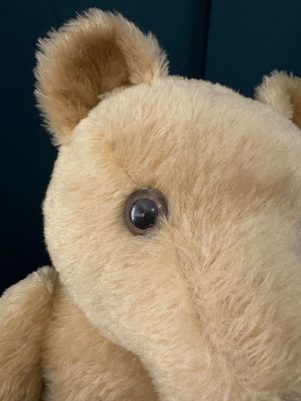 Giocattoli: Klassischer Mohair Teddybär mit Brummstimme – Usato da Horgen venduto da sven.gryspeerdt 4